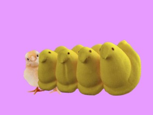 SIX_4040F206-0AF3-4F8A-881C-BB7CDF24D822